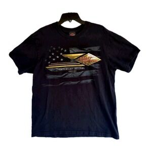 Harley-Davidson Mens Black T-Shirt American Original Flag Logo Graphic Tee L